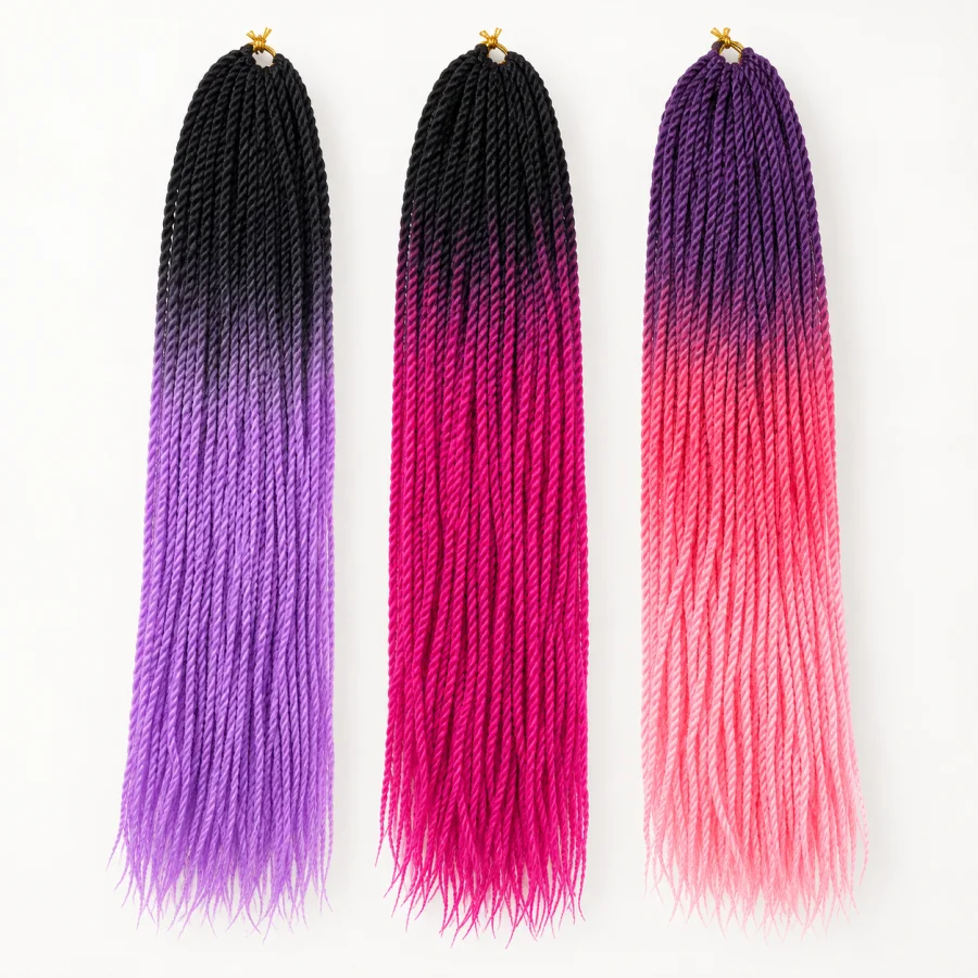 (image for) 24-Inch Ombre Two-Strand Twists